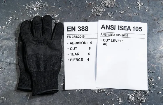Cut resistant glove program